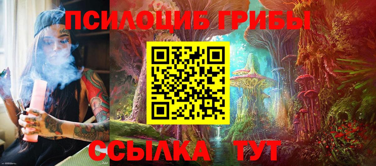 Галлюциногенные грибы мицелий  Вход с VPN  Большой Камень 